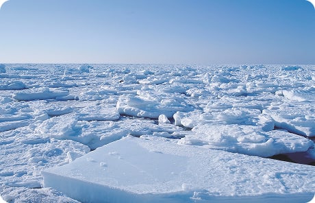 世界遺産でめぐる日本再発見の旅 今号のスポット：知床（北海道）