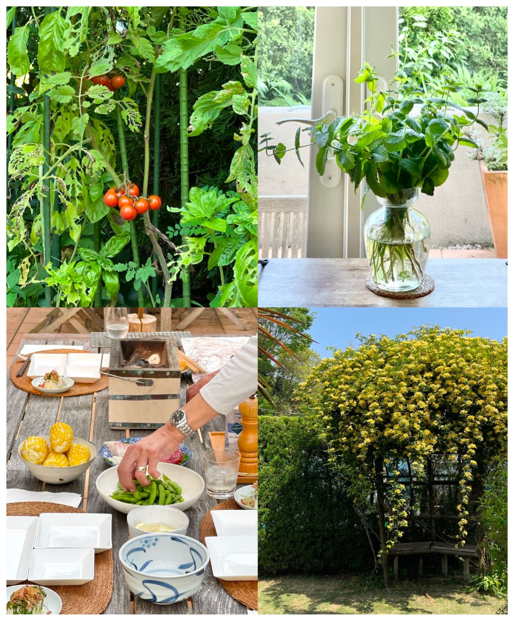 特集 イメージ画像⑤