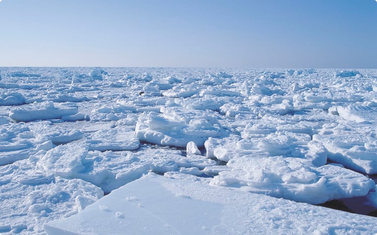 世界遺産でめぐる日本再発見の旅 World Heritage Japan メイン画像①