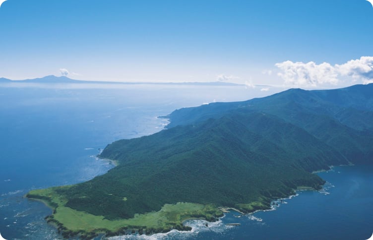 海と陸の生態系がつながり、絶滅危惧種が生息する地 イメージ画像①