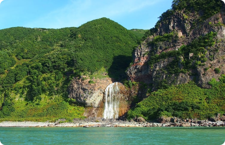 海と陸の生態系がつながり、絶滅危惧種が生息する地 イメージ画像②