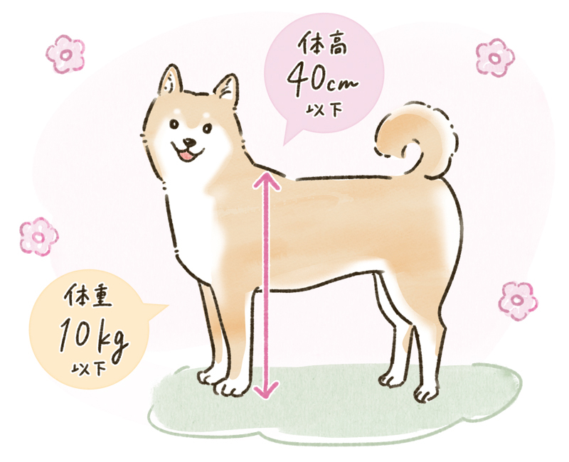 飼育可能なペットの種類を確認 イメージ画像