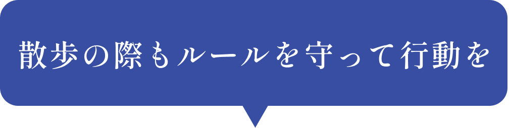 散歩の際もルールを守って行動を