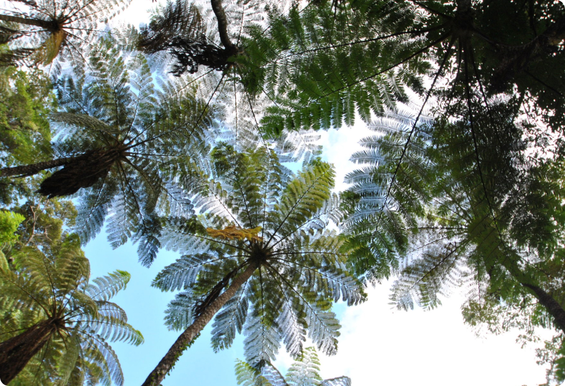世界遺産でめぐる日本再発見の旅 World Heritage Japan メイン画像①