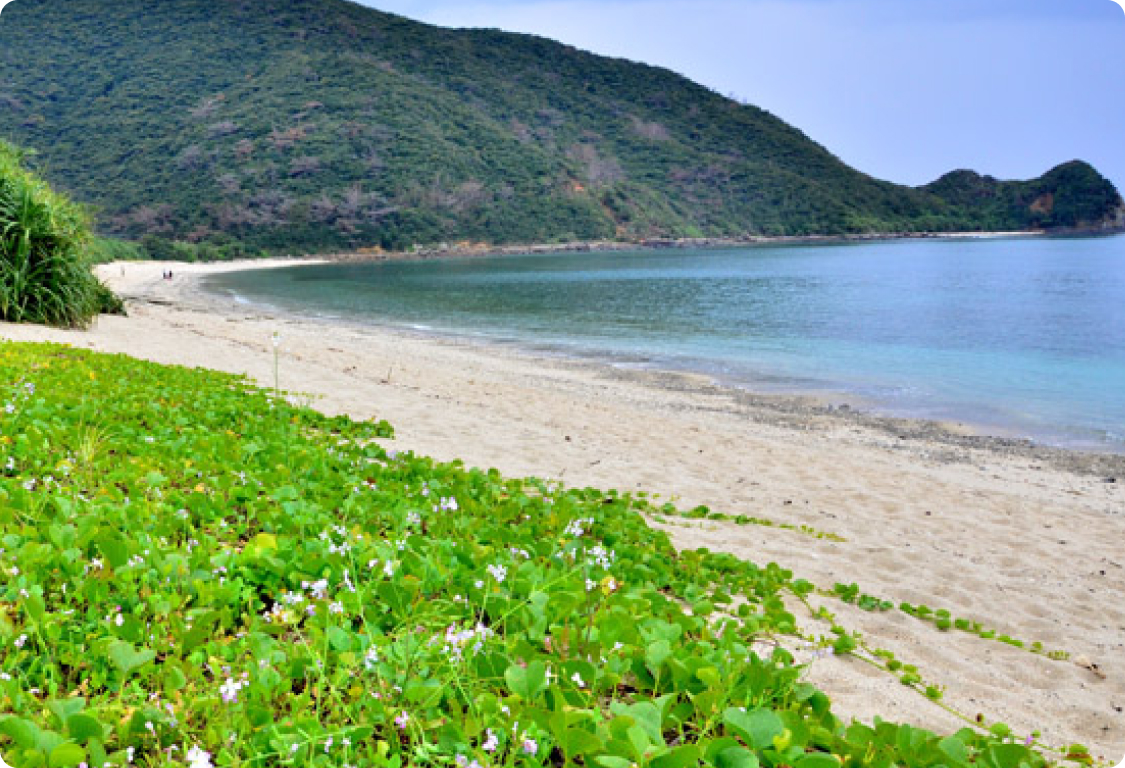 世界遺産でめぐる日本再発見の旅 World Heritage Japan メイン画像②