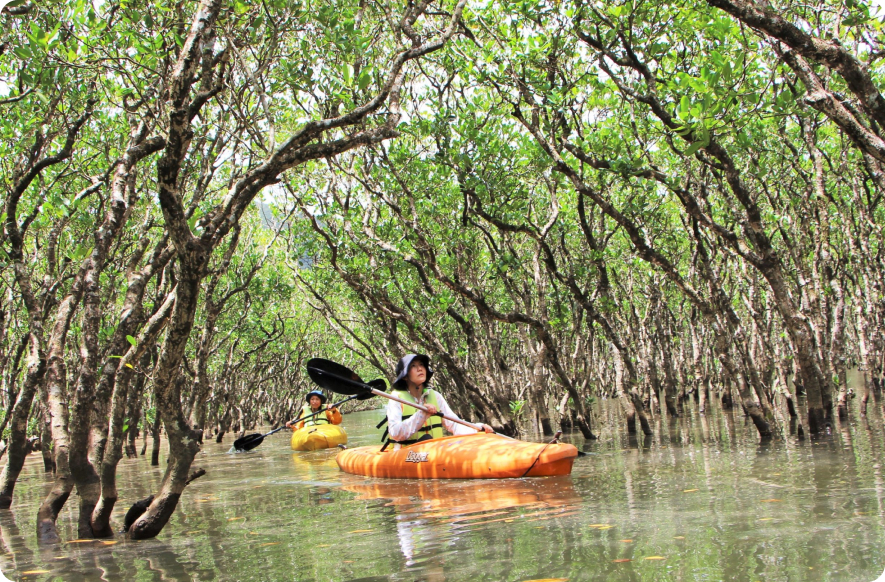 マングローブカヌー体験 イメージ画像