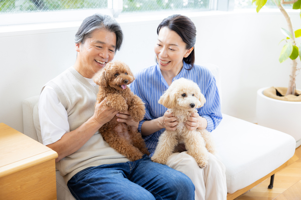 知っておきたいくらしの基礎知識