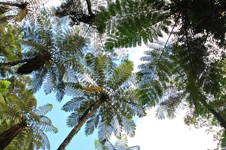 世界遺産でめぐる日本再発見の旅