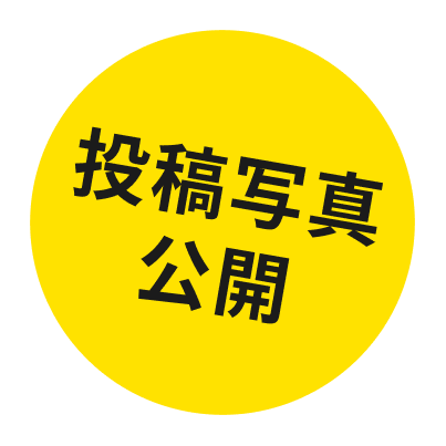 投稿写真公開
