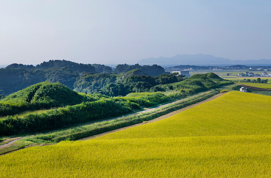 新原・奴山古墳群 イメージ画像